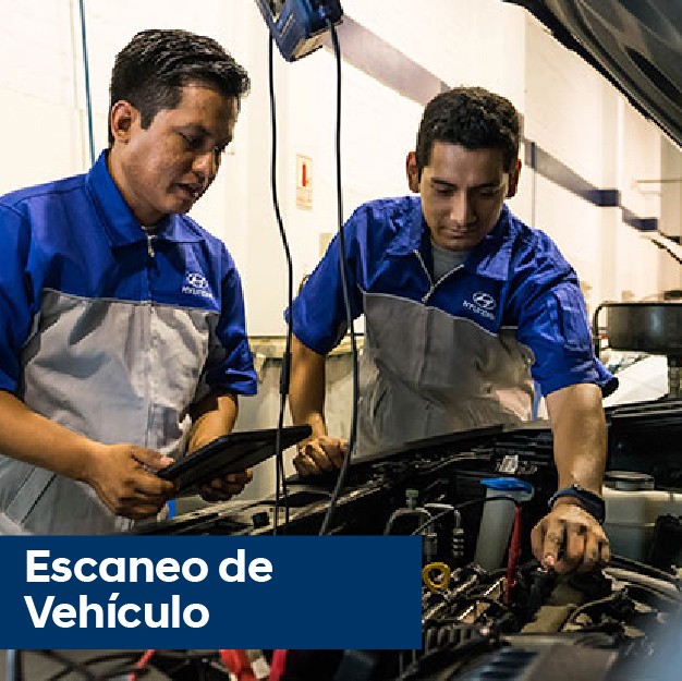 Escaneo de vehículo